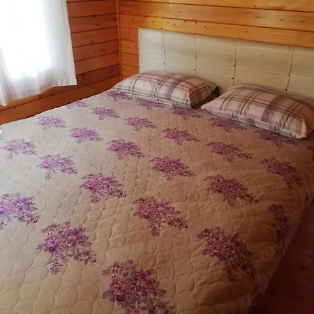 Evleri - Nergis -karaburun - Izmir *